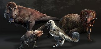 Ожидаемый VR-симулятор динозавров Saurian